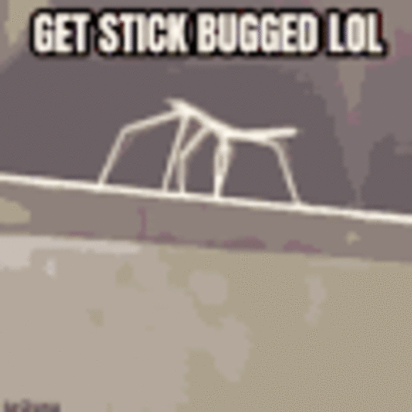 brockcarlqui584